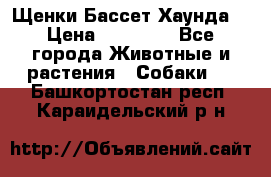 Щенки Бассет Хаунда  › Цена ­ 25 000 - Все города Животные и растения » Собаки   . Башкортостан респ.,Караидельский р-н